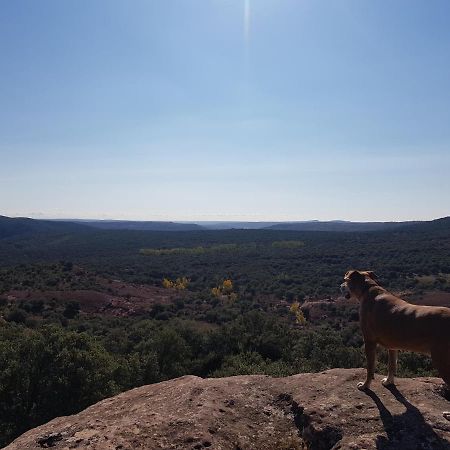 Affittacamere La Casa De San Gil Atienza Esterno foto